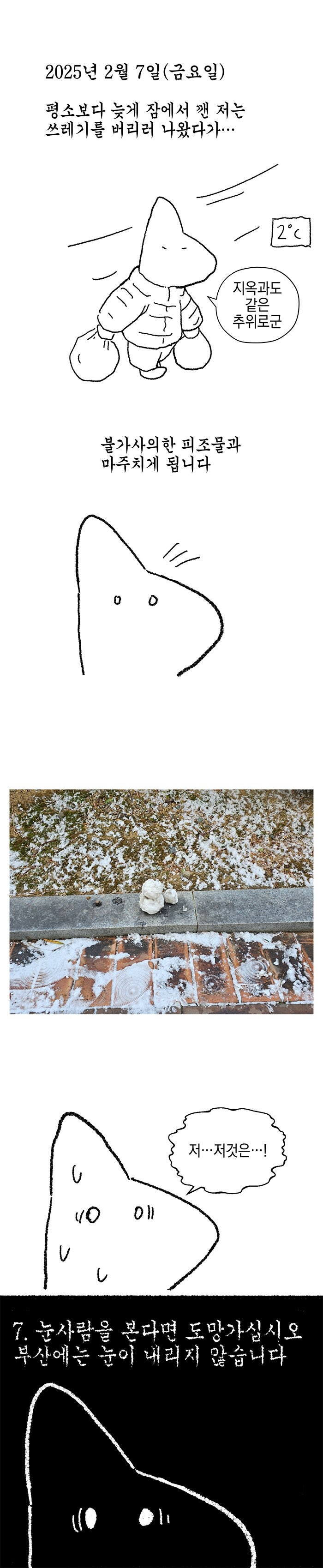 511732_0.jpg