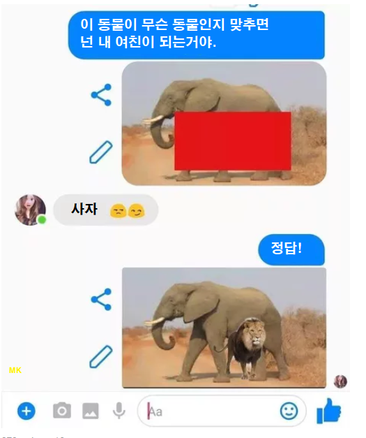 513373_0.png