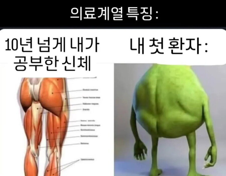 513533_0.png