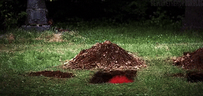 514861_0.gif