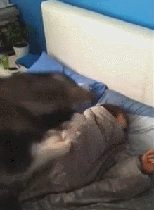 515894_1.gif